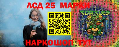 дмт Кандалакша