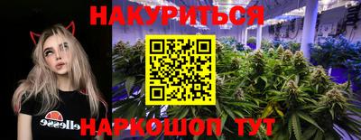 тгк Канаш