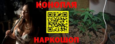 тгк Канаш