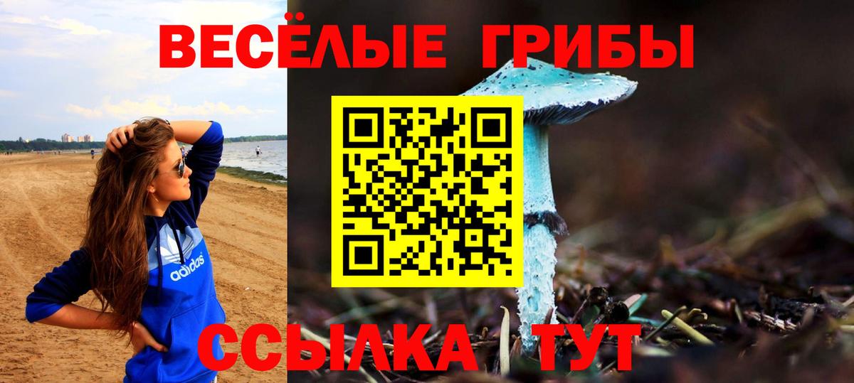 Галлюциногенные грибы GOLDEN TEACHER  Вход с VPN  Красноперекопск 